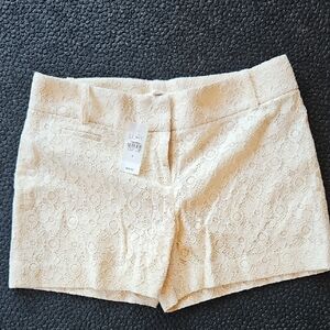 LOFT Cream Lace Shorts Size 4